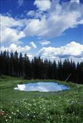 ABZ - Where the Earth Drinks the Sky